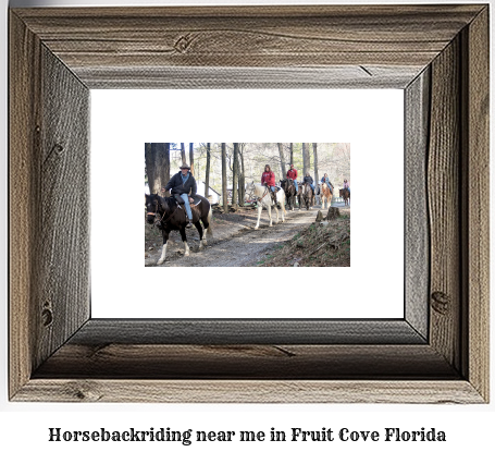 horseback riding near me in Fruit Cove, Florida